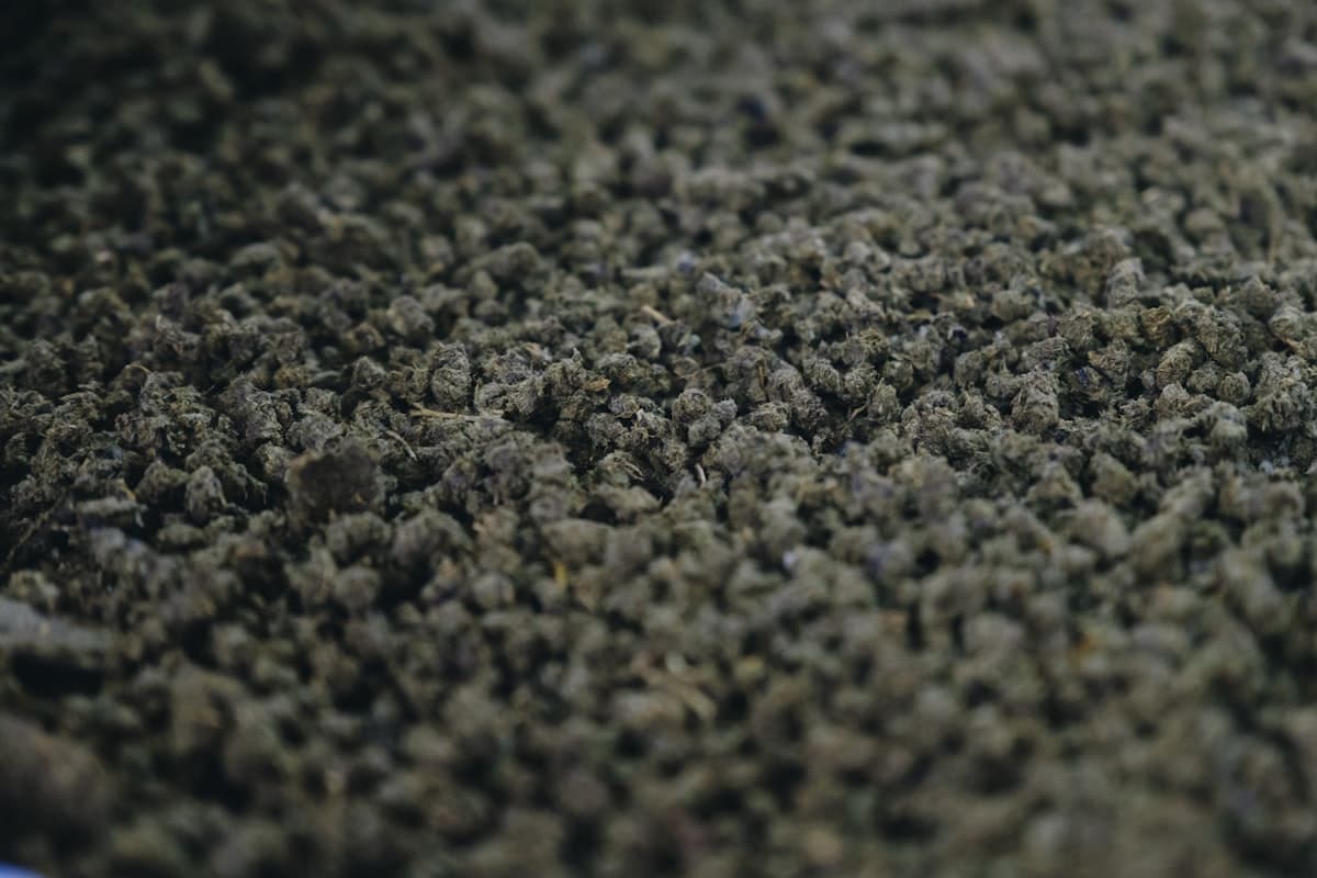Close-up of screened granular aged sheep and goat manure fertilizer