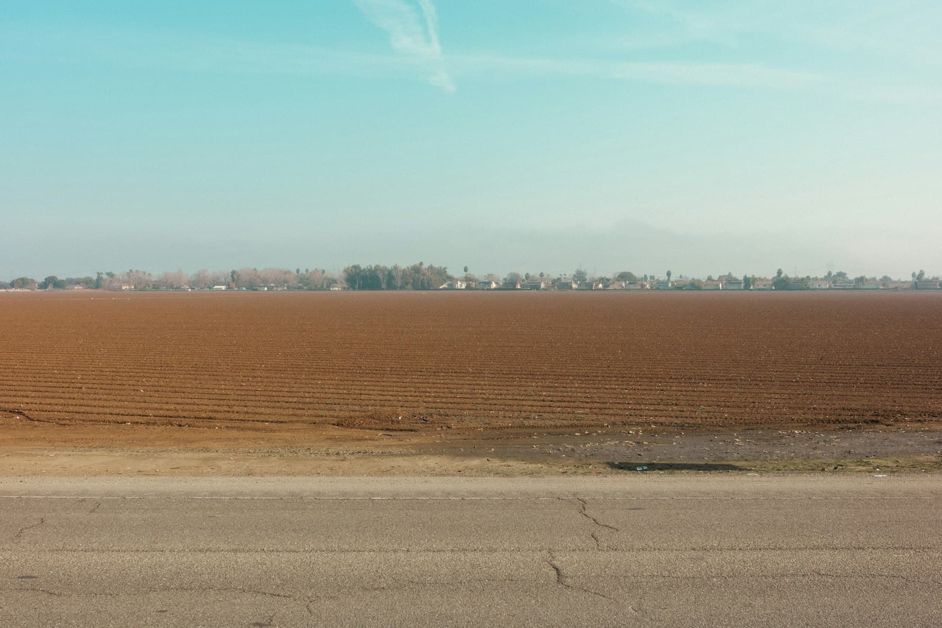A vast barren field stretching to the horizon at dawn